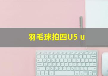 羽毛球拍四U5 u